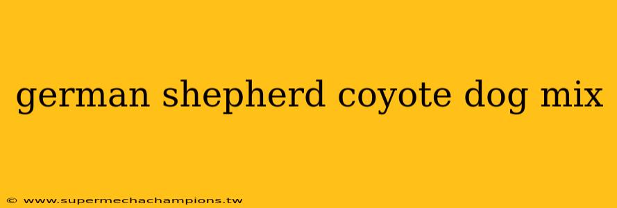 german shepherd coyote dog mix