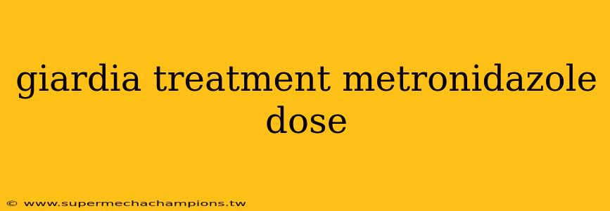 giardia treatment metronidazole dose