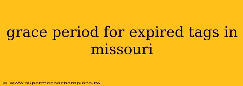 grace period for expired tags in missouri
