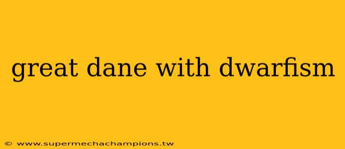great dane with dwarfism