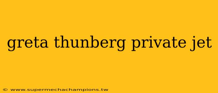 greta thunberg private jet
