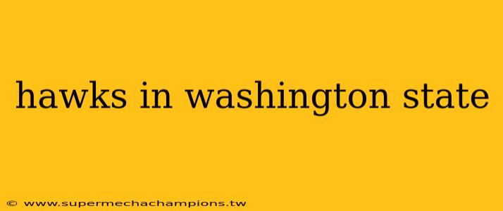 hawks in washington state