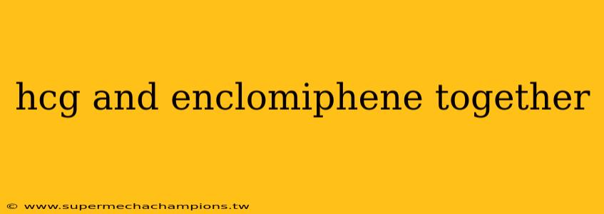 hcg and enclomiphene together
