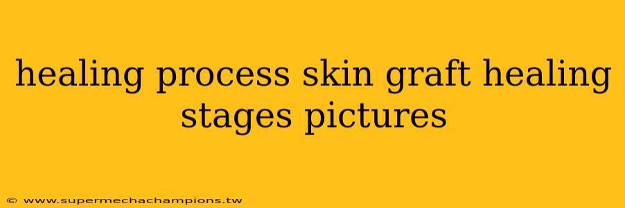 healing process skin graft healing stages pictures