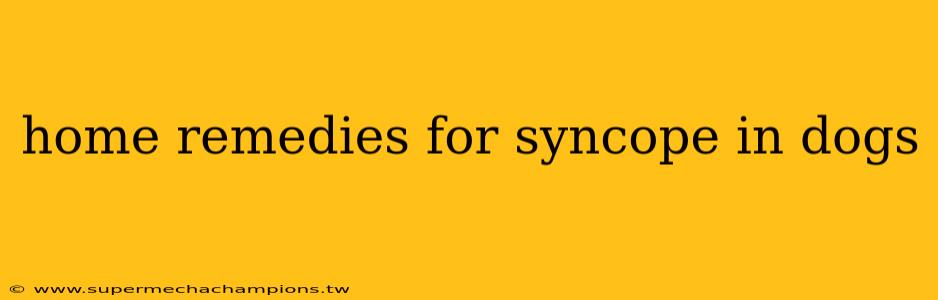 home remedies for syncope in dogs