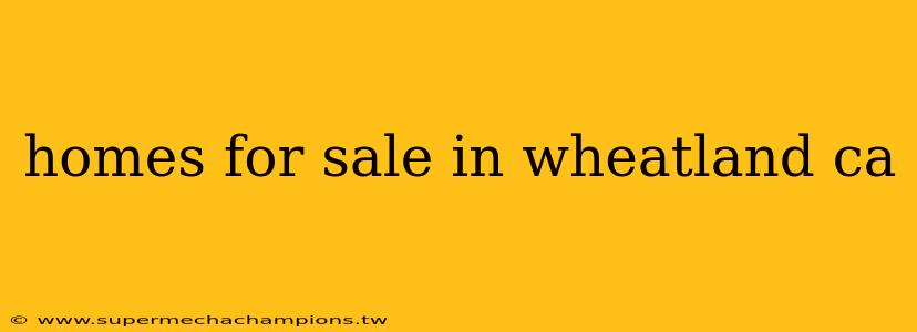 homes for sale in wheatland ca