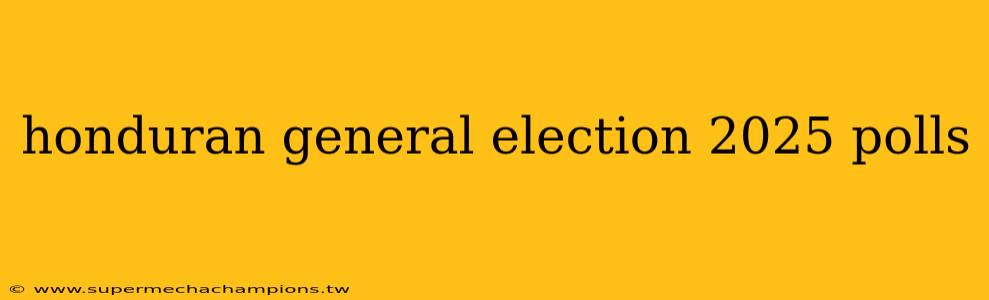 honduran general election 2025 polls