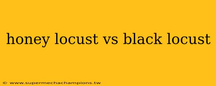 honey locust vs black locust