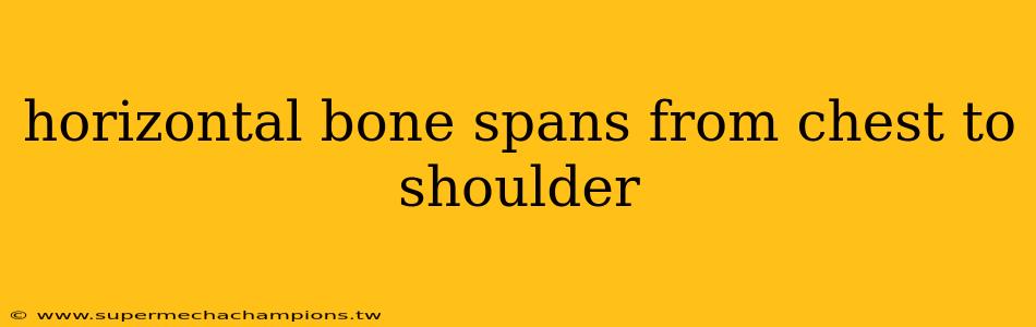 horizontal bone spans from chest to shoulder