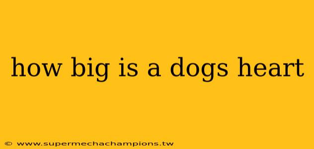 how big is a dogs heart