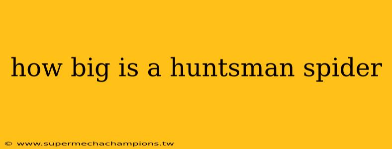 how big is a huntsman spider