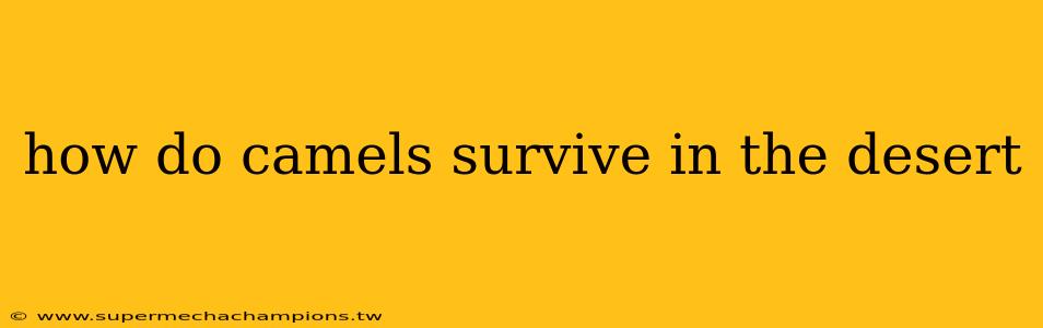 how do camels survive in the desert
