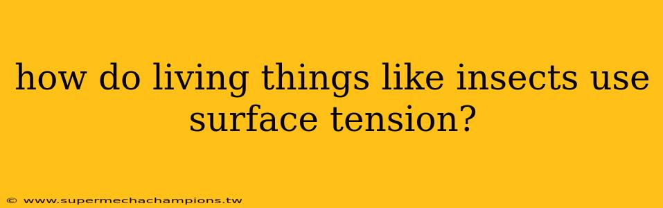 how do living things like insects use surface tension?