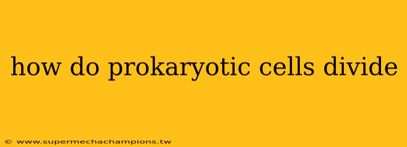 how do prokaryotic cells divide
