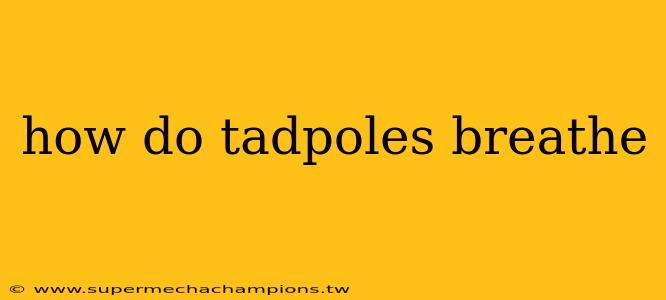 how do tadpoles breathe