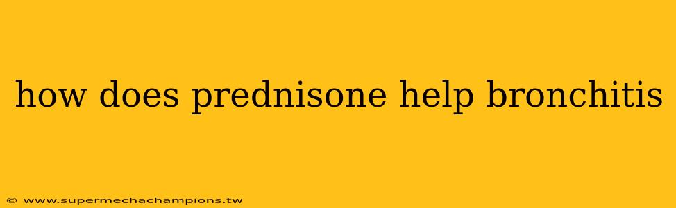 how does prednisone help bronchitis