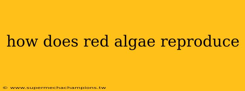 how does red algae reproduce