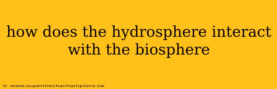 how does the hydrosphere interact with the biosphere