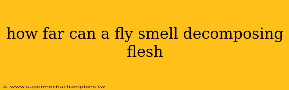 how far can a fly smell decomposing flesh