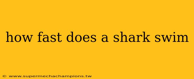 how fast does a shark swim