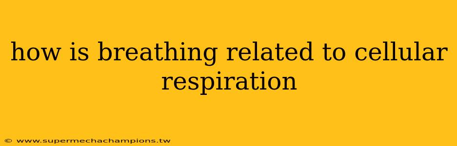 how is breathing related to cellular respiration