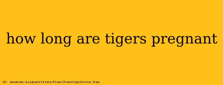 how long are tigers pregnant