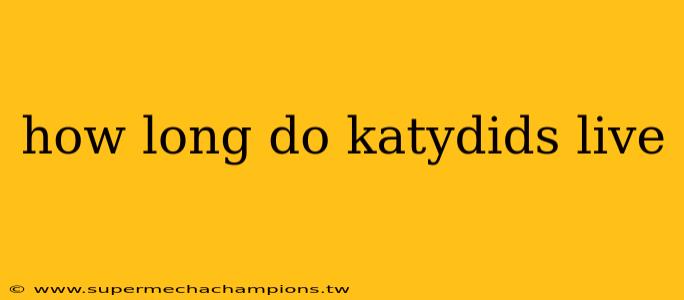 how long do katydids live
