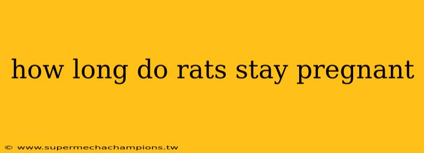 how long do rats stay pregnant