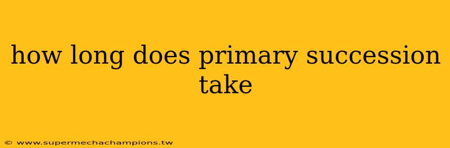 how long does primary succession take