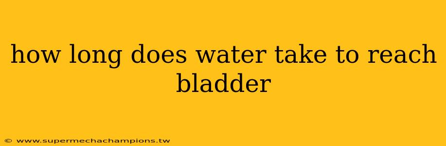 how long does water take to reach bladder