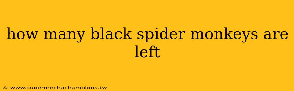 how many black spider monkeys are left