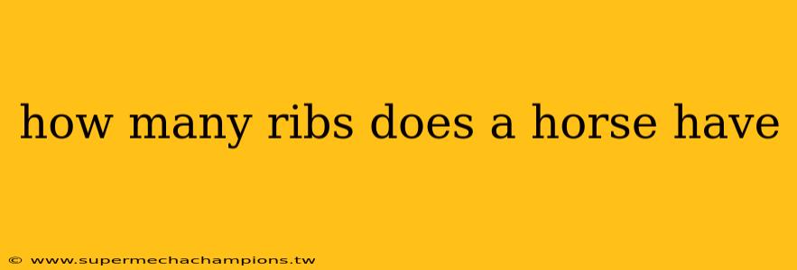 how many ribs does a horse have