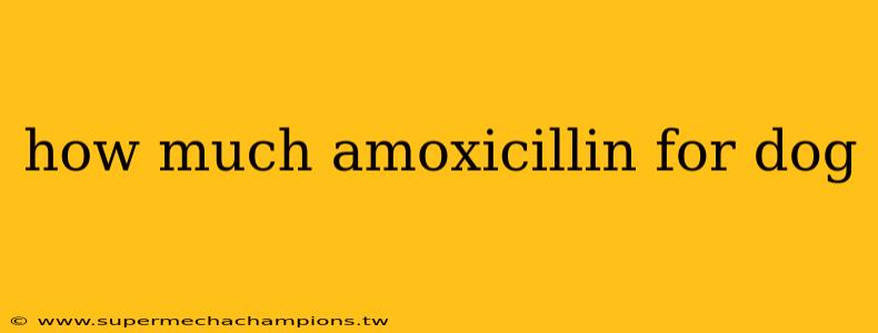 how much amoxicillin for dog