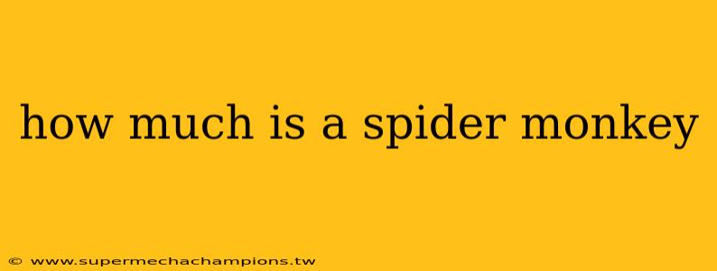 how much is a spider monkey