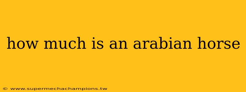 how much is an arabian horse