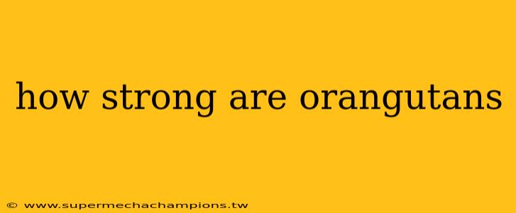 how strong are orangutans