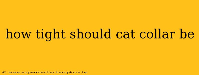 how tight should cat collar be