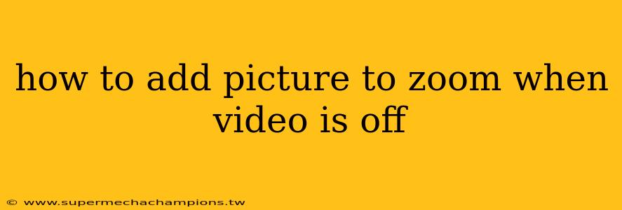 how to add picture to zoom when video is off
