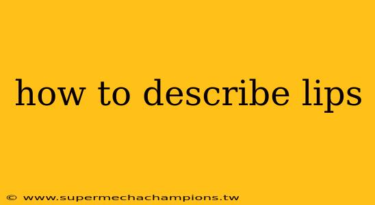 how to describe lips