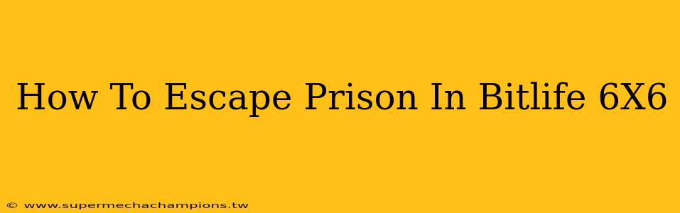 How To Escape Prison In Bitlife 6X6
