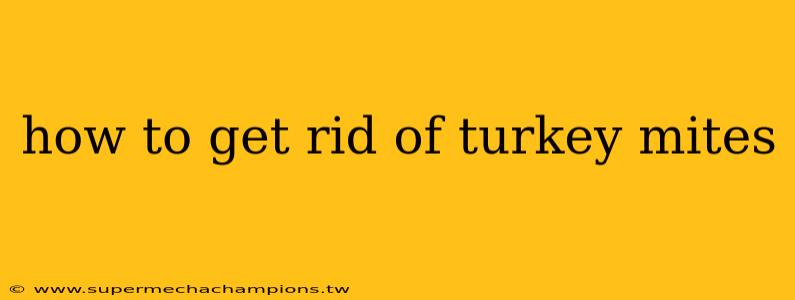 how to get rid of turkey mites