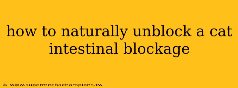 how to naturally unblock a cat intestinal blockage