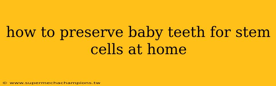 how to preserve baby teeth for stem cells at home
