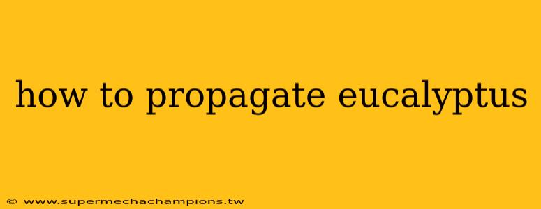 how to propagate eucalyptus