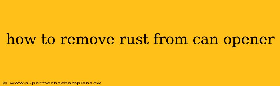 how to remove rust from can opener