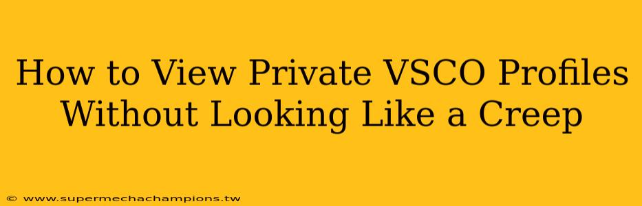 How to View Private VSCO Profiles Without Looking Like a Creep