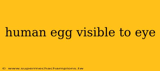 human egg visible to eye
