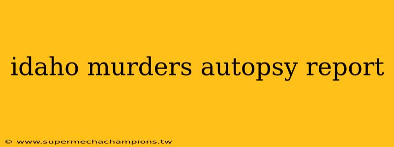 idaho murders autopsy report