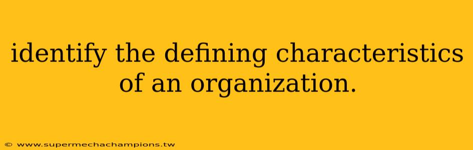identify the defining characteristics of an organization.