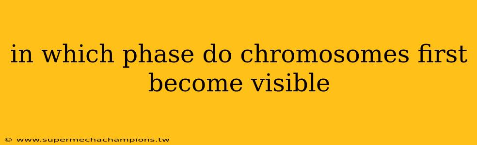 in which phase do chromosomes first become visible